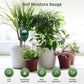 ⏰【Nur für kurze Zeit: 50 % sparen!】🌱Professionelles Bodenfeuchtigkeitsmessgerät für Zimmer- und Gartenpflanzen