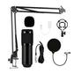 Kit microphone à condensateur professionnel avec bras de support